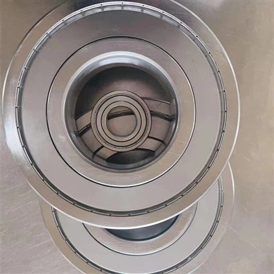 6300 Series Bearing